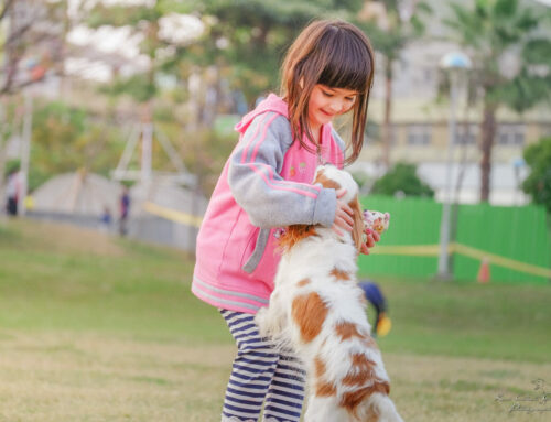 Helping children through the loss of a pet