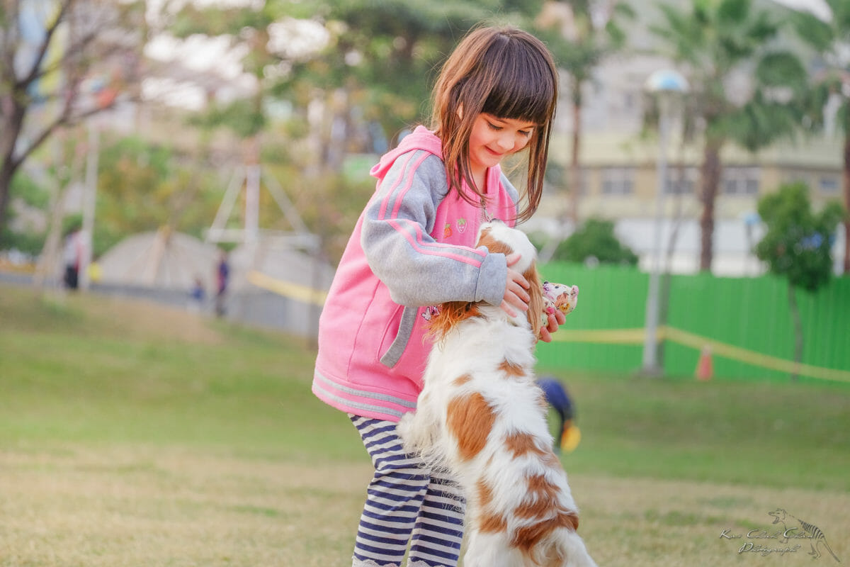 Helping children through the loss of a pet